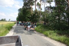 C-13